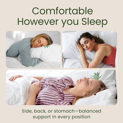 Memory Foam Pillows Queen Size Set of 2 - Cooling Bed Pillows for Sleeping - Back, Stomach, Side Sleeper Firm, Comfy Cool Shredded - 2 Pack, Rayon Derived from Bamboo